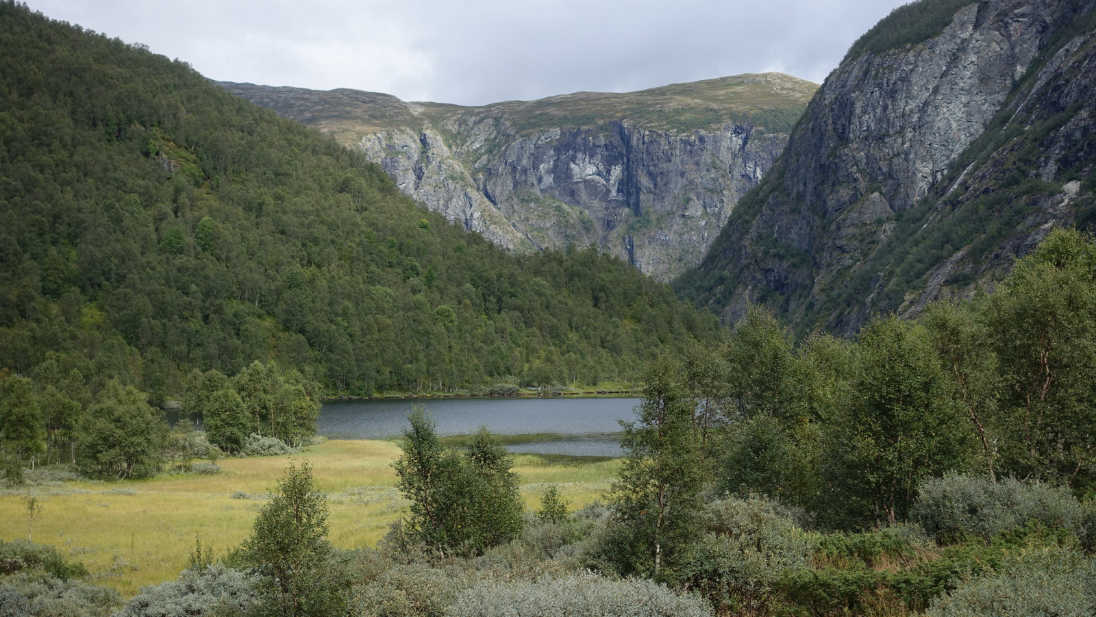 Klicke auf die Grafik für eine vergrößerte Ansicht

Name: 2025 Norge 0517.jpg
Ansichten: 347
Größe: 800,3 KB
ID: 3351477