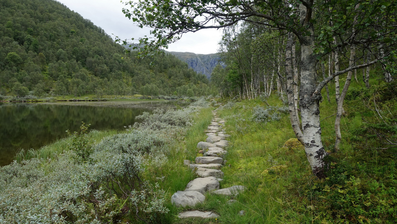 Klicke auf die Grafik für eine vergrößerte Ansicht

Name: 2025 Norge 0516.jpg
Ansichten: 357
Größe: 968,2 KB
ID: 3351478