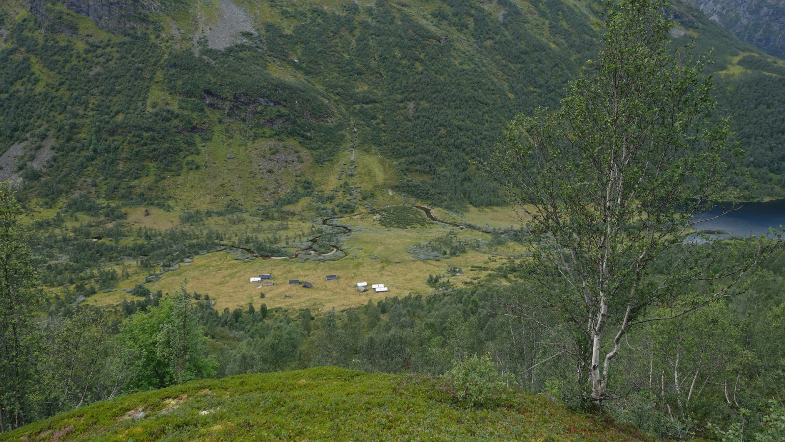 Klicke auf die Grafik für eine vergrößerte Ansicht

Name: 2025 Norge 0522.jpg
Ansichten: 353
Größe: 884,7 KB
ID: 3351482