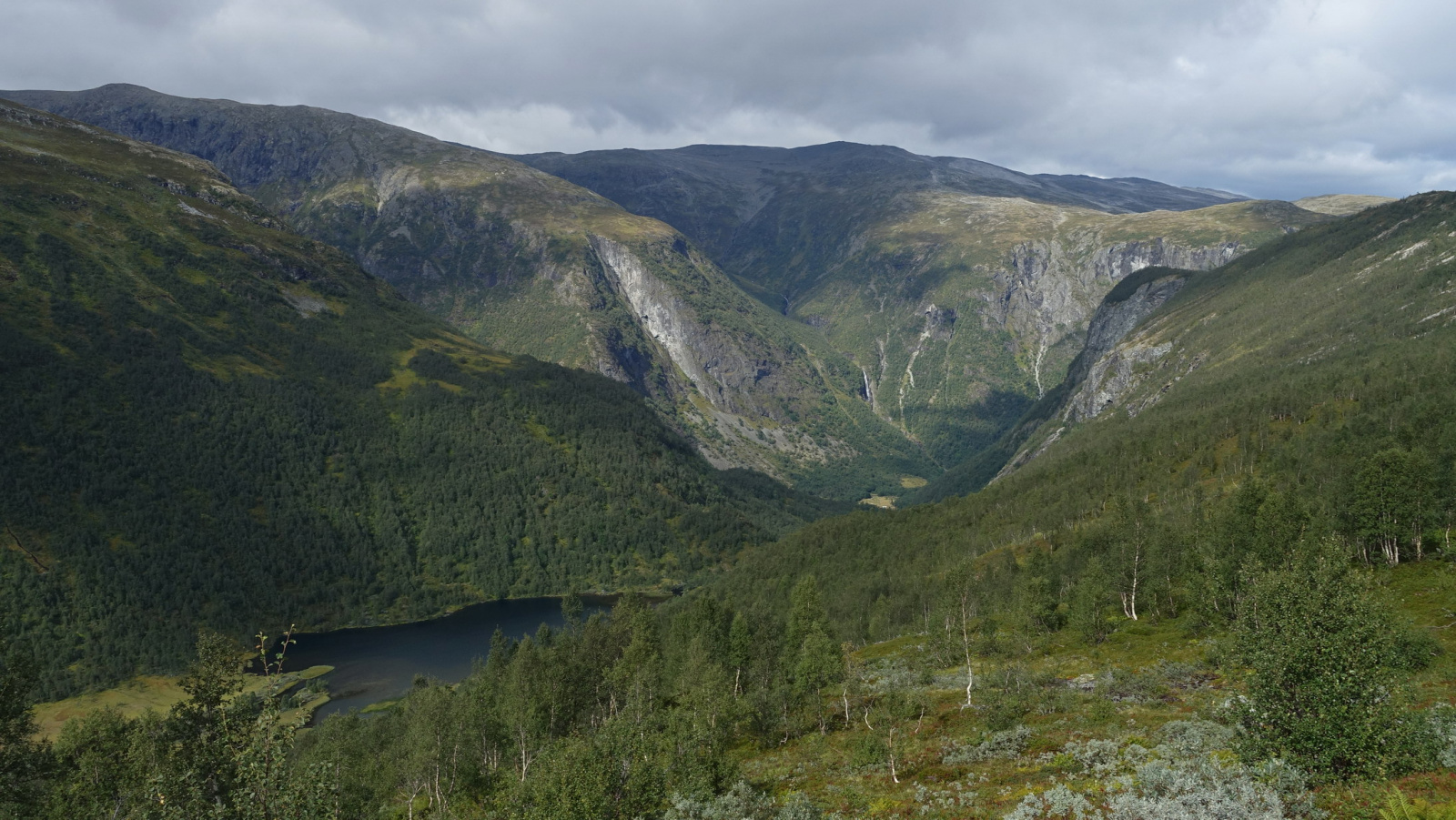 Klicke auf die Grafik für eine vergrößerte Ansicht

Name: 2025 Norge 0525.jpg
Ansichten: 342
Größe: 668,0 KB
ID: 3351486