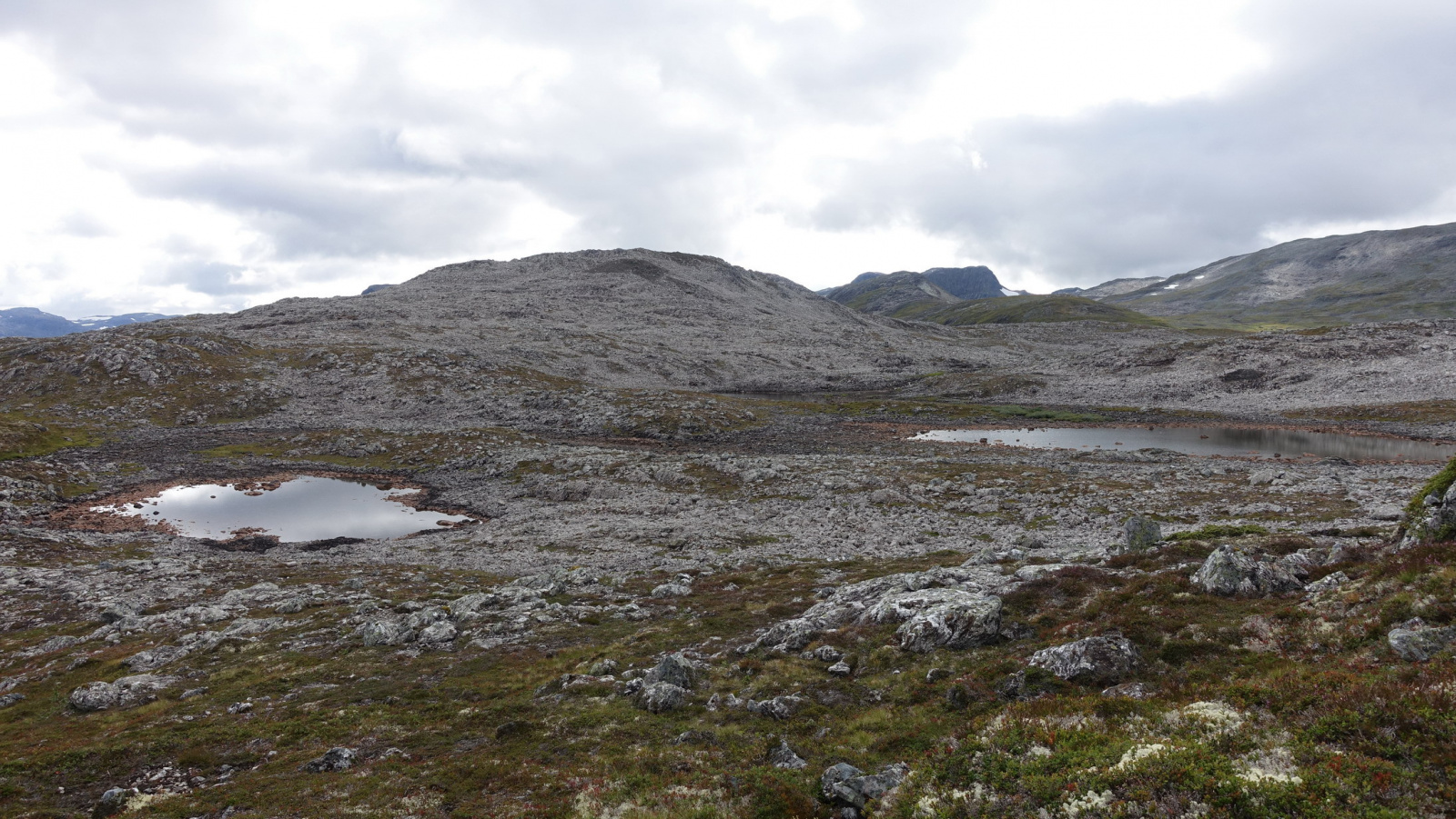 Klicke auf die Grafik für eine vergrößerte Ansicht

Name: 2025 Norge 0527.jpg
Ansichten: 347
Größe: 723,9 KB
ID: 3351489