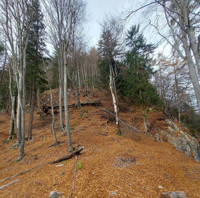 Klicke auf die Grafik für eine vergrößerte Ansicht

Name: Aufstieg.jpg
Ansichten: 78
Größe: 1,28 MB
ID: 3351501