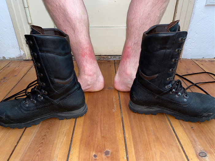 Klicke auf die Grafik für eine vergrößerte Ansicht

Name: IMG_5172.jpg
Ansichten: 66
Größe: 616,9 KB
ID: 3351523