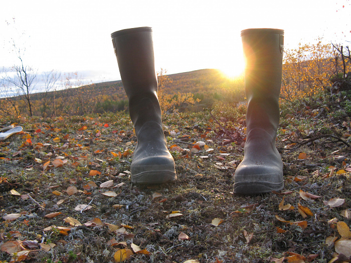 Klicke auf die Grafik für eine vergrößerte Ansicht

Name: Gummistiefel.jpg
Ansichten: 24
Größe: 921,4 KB
ID: 3351622