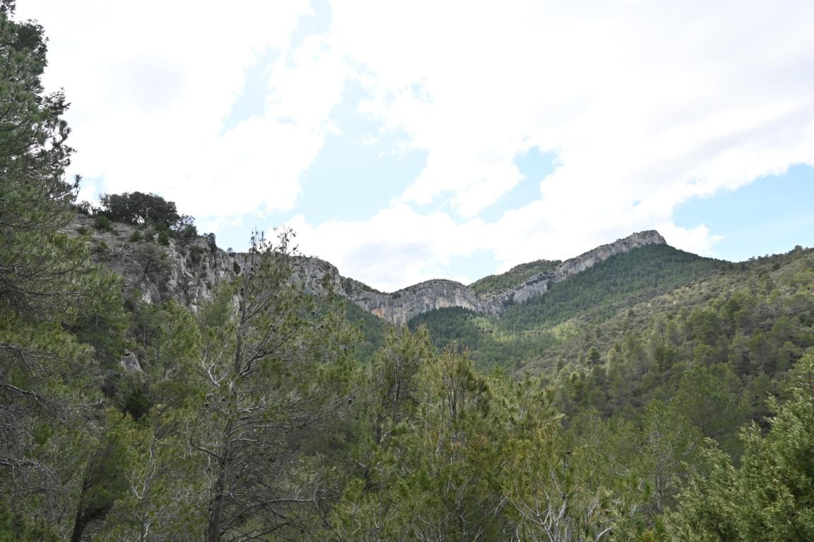 Klicke auf die Grafik für eine vergrößerte Ansicht  Name: DSC_9384.jpg Ansichten: 0 Größe: 200,4 KB ID: 3351723