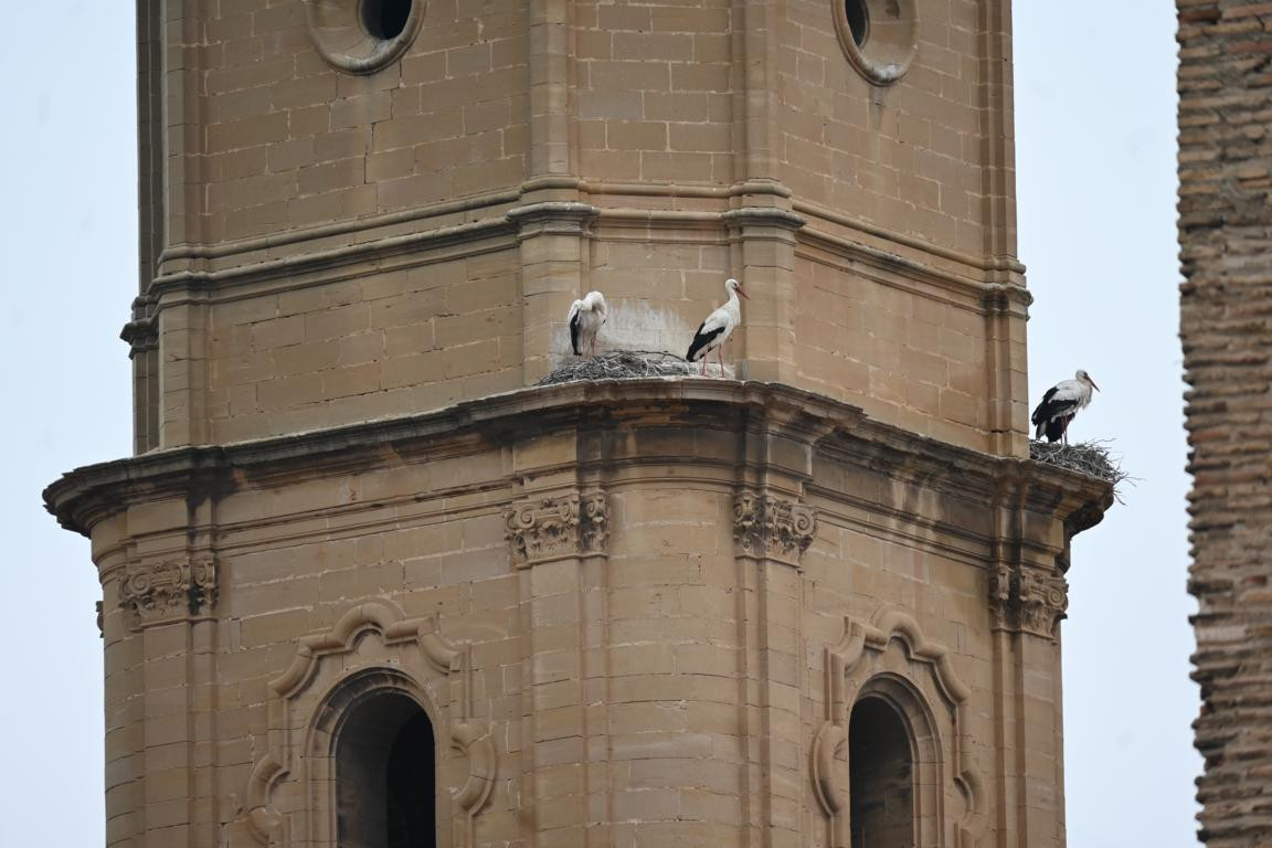 Klicke auf die Grafik für eine vergrößerte Ansicht  Name: DSC_9010.jpg Ansichten: 0 Größe: 156,4 KB ID: 3352287