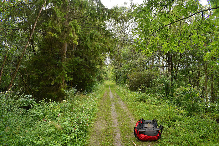 Klicke auf die Grafik für eine vergrößerte Ansicht

Name: DSC_0585.jpg
Ansichten: 146
Größe: 1,45 MB
ID: 3351761