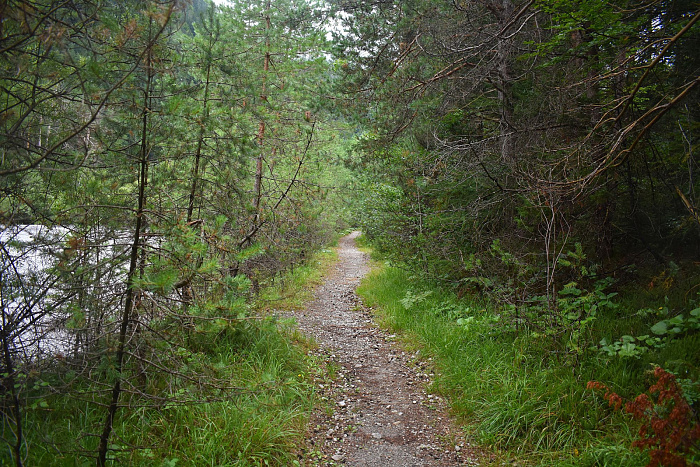 Klicke auf die Grafik für eine vergrößerte Ansicht

Name: DSC_0599.jpg
Ansichten: 148
Größe: 1,25 MB
ID: 3351763