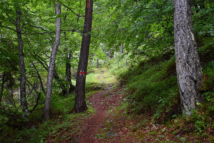 Klicke auf die Grafik für eine vergrößerte Ansicht

Name: DSC_0604.jpg
Ansichten: 147
Größe: 1,24 MB
ID: 3351770