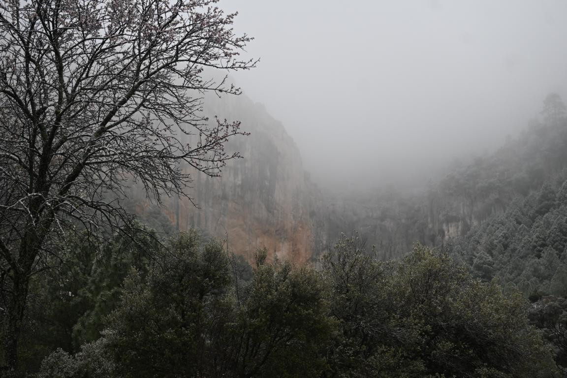 Klicke auf die Grafik für eine vergrößerte Ansicht  Name: DSC_9015.jpg Ansichten: 0 Größe: 219,4 KB ID: 3352290