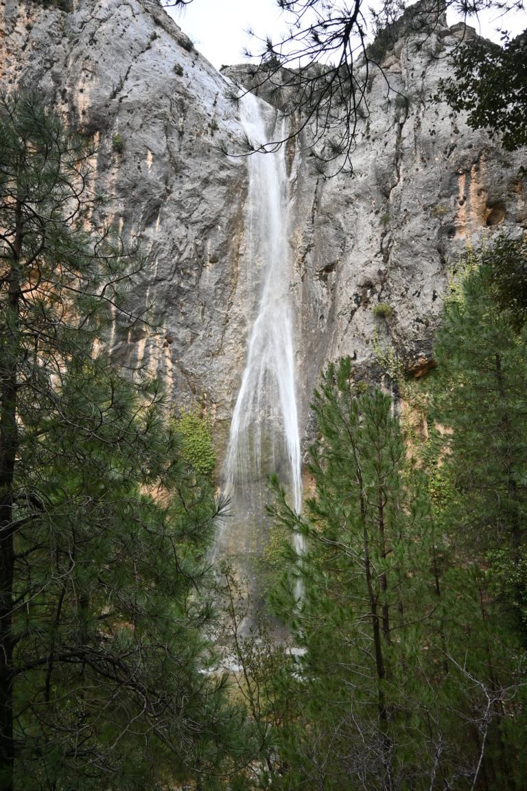 Klicke auf die Grafik für eine vergrößerte Ansicht  Name: DSC_9035.jpg Ansichten: 0 Größe: 341,4 KB ID: 3352292