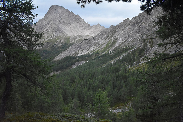 Klicke auf die Grafik für eine vergrößerte Ansicht

Name: DSC_0694.jpg
Ansichten: 100
Größe: 746,4 KB
ID: 3352252