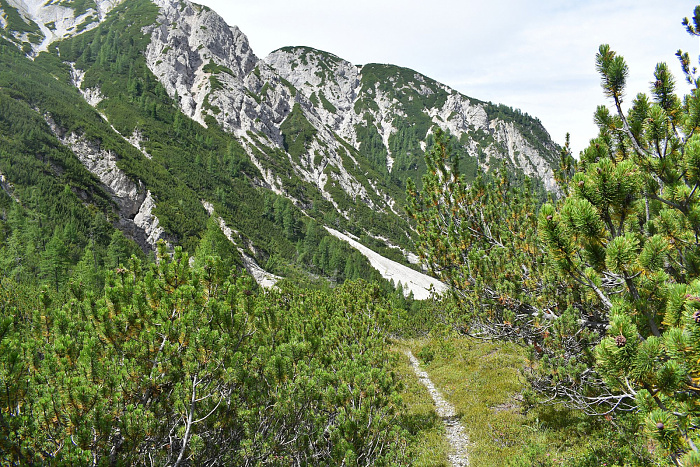 Klicke auf die Grafik für eine vergrößerte Ansicht

Name: DSC_0730.jpg
Ansichten: 103
Größe: 1,34 MB
ID: 3352265