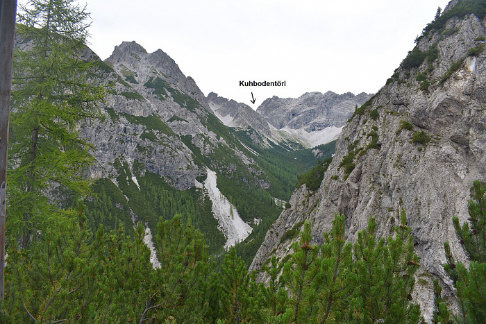 Klicke auf die Grafik für eine vergrößerte Ansicht

Name: DSC_0738.jpg
Ansichten: 101
Größe: 983,4 KB
ID: 3352268