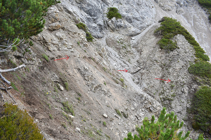 Klicke auf die Grafik für eine vergrößerte Ansicht

Name: DSC_0751.jpg
Ansichten: 102
Größe: 1,28 MB
ID: 3352270