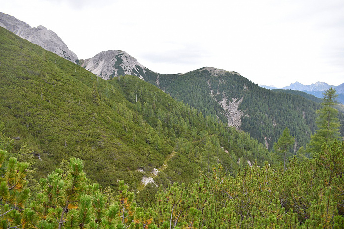 Klicke auf die Grafik für eine vergrößerte Ansicht

Name: DSC_0755.jpg
Ansichten: 103
Größe: 902,0 KB
ID: 3352271