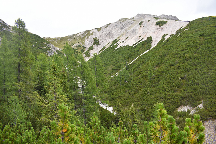 Klicke auf die Grafik für eine vergrößerte Ansicht

Name: DSC_0756.jpg
Ansichten: 101
Größe: 1,01 MB
ID: 3352274