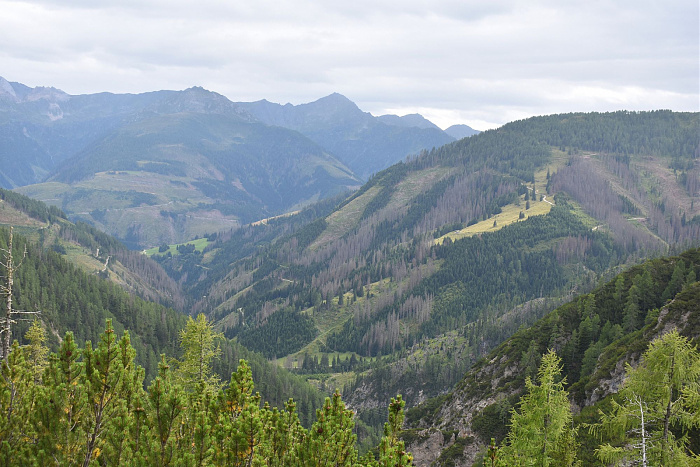 Klicke auf die Grafik für eine vergrößerte Ansicht

Name: DSC_0758.jpg
Ansichten: 101
Größe: 757,7 KB
ID: 3352275