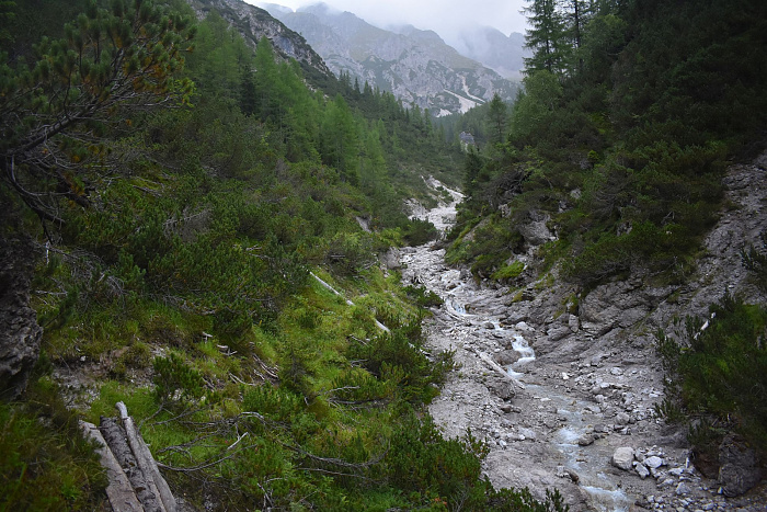 Klicke auf die Grafik für eine vergrößerte Ansicht

Name: DSC_0766.jpg
Ansichten: 102
Größe: 921,7 KB
ID: 3352278