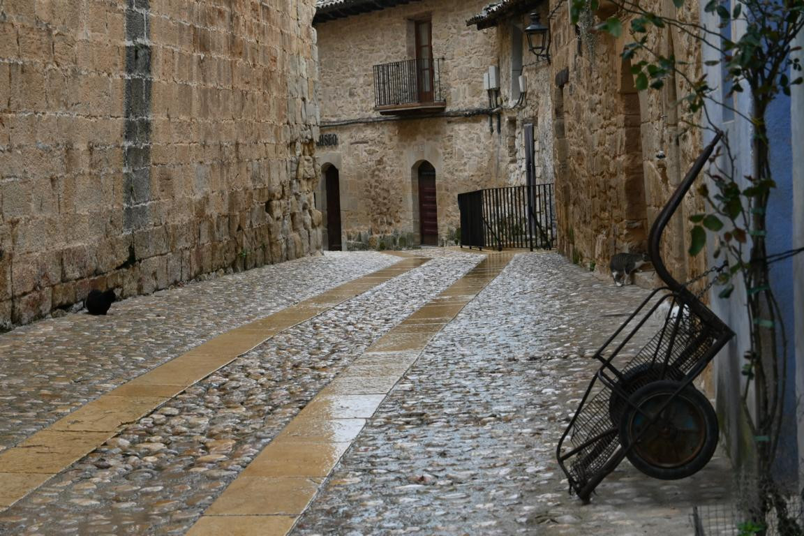 Klicke auf die Grafik für eine vergrößerte Ansicht  Name: DSC_9066.jpg Ansichten: 0 Größe: 280,8 KB ID: 3352295