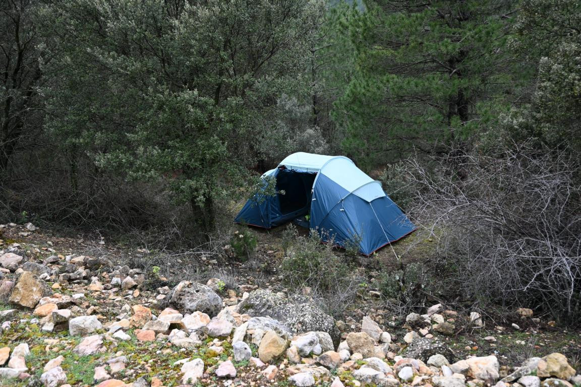 Klicke auf die Grafik für eine vergrößerte Ansicht  Name: DSC_9050.jpg Ansichten: 0 Größe: 363,2 KB ID: 3352296