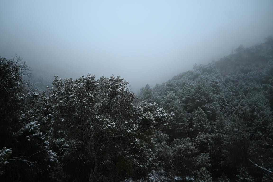 Klicke auf die Grafik für eine vergrößerte Ansicht

Name: DSC_9166.jpg
Ansichten: 68
Größe: 154,7 KB
ID: 3352301