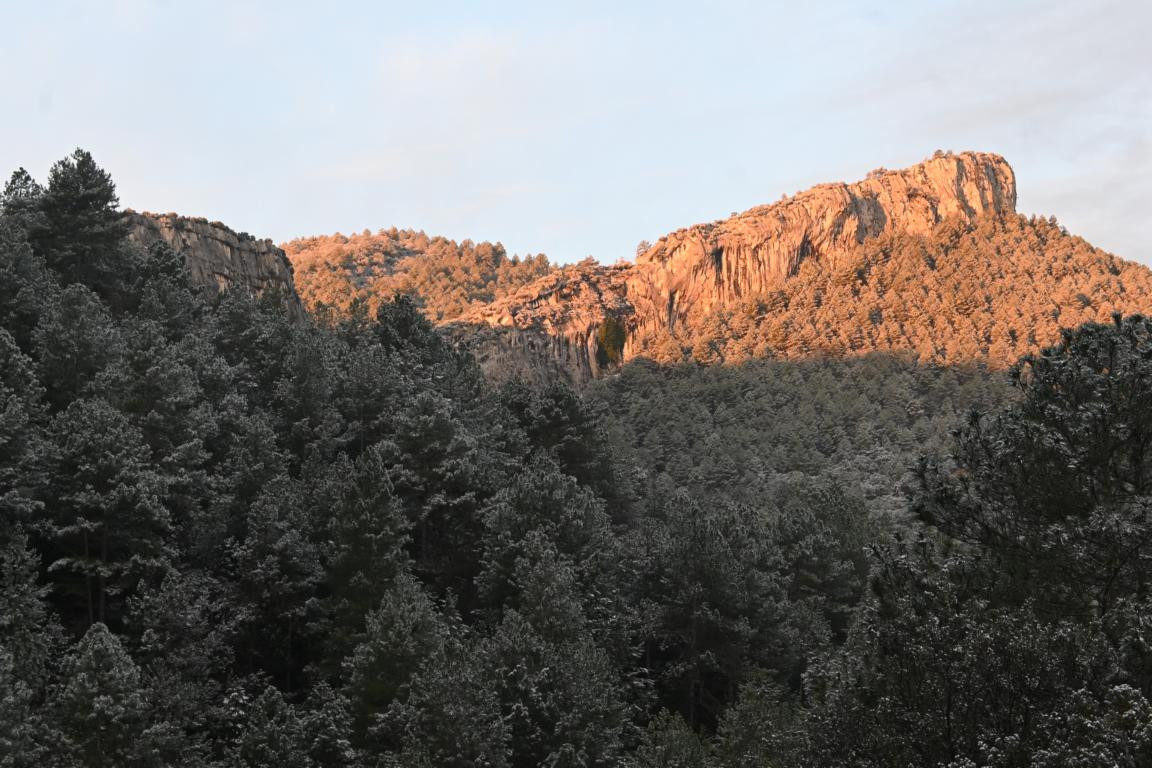 Klicke auf die Grafik für eine vergrößerte Ansicht

Name: DSC_9170.jpg
Ansichten: 66
Größe: 229,3 KB
ID: 3352302