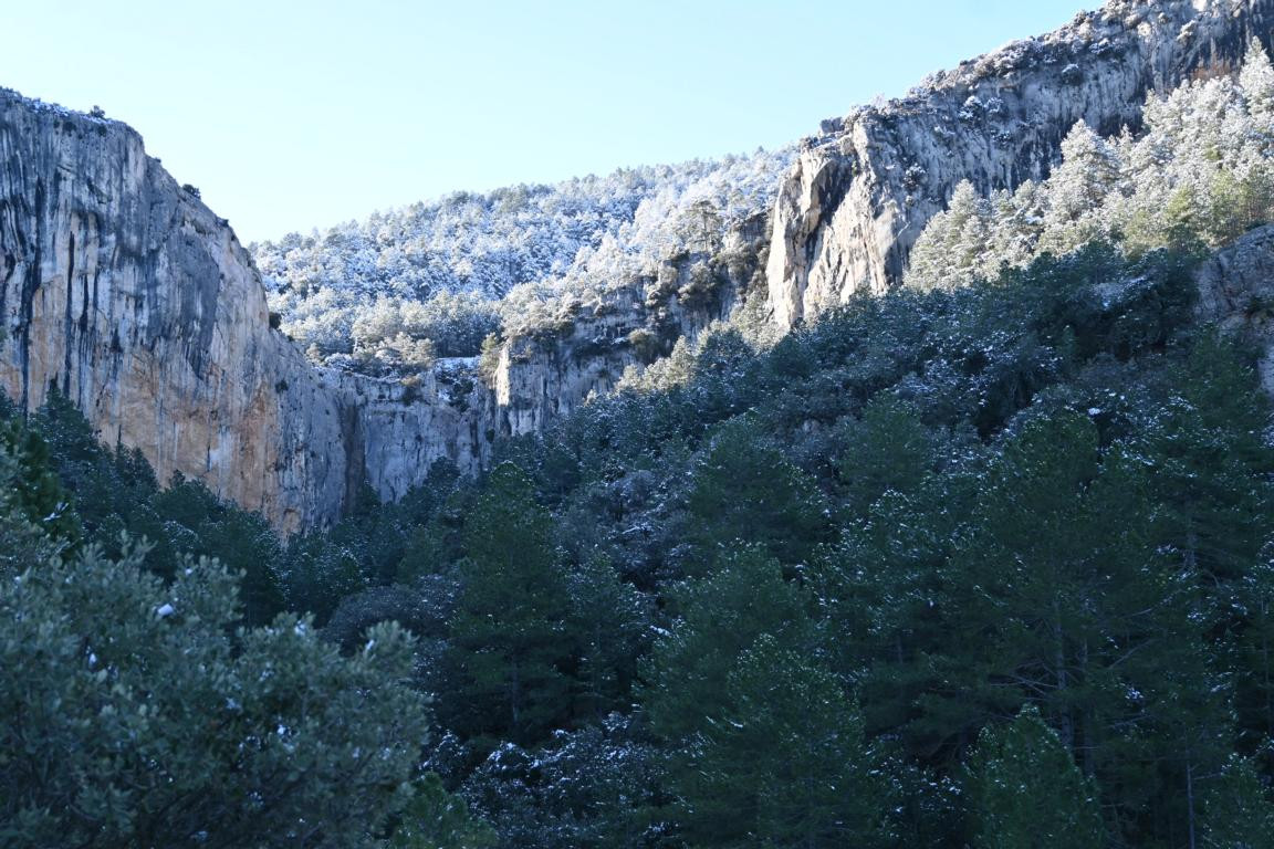 Klicke auf die Grafik für eine vergrößerte Ansicht

Name: DSC_9160.jpg
Ansichten: 66
Größe: 275,6 KB
ID: 3352303