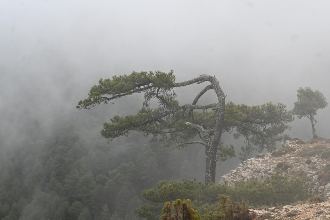 Klicke auf die Grafik für eine vergrößerte Ansicht

Name: DSC_9201.jpg
Ansichten: 65
Größe: 102,4 KB
ID: 3352305