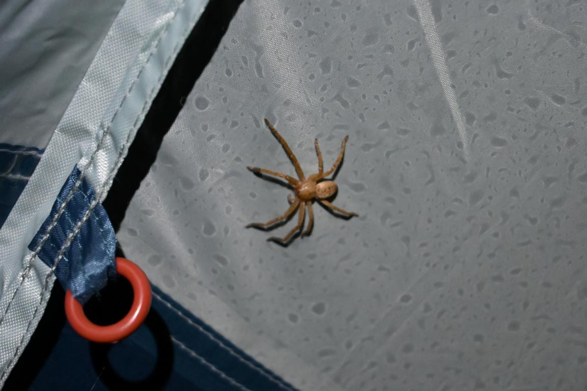 Klicke auf die Grafik für eine vergrößerte Ansicht

Name: DSC_9213.jpg
Ansichten: 66
Größe: 138,1 KB
ID: 3352307