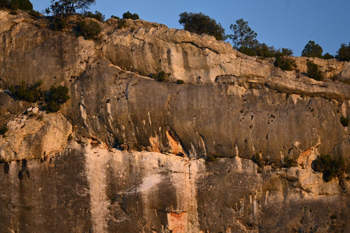 Klicke auf die Grafik für eine vergrößerte Ansicht  Name: DSC_9231.jpg Ansichten: 0 Größe: 291,5 KB ID: 3352351