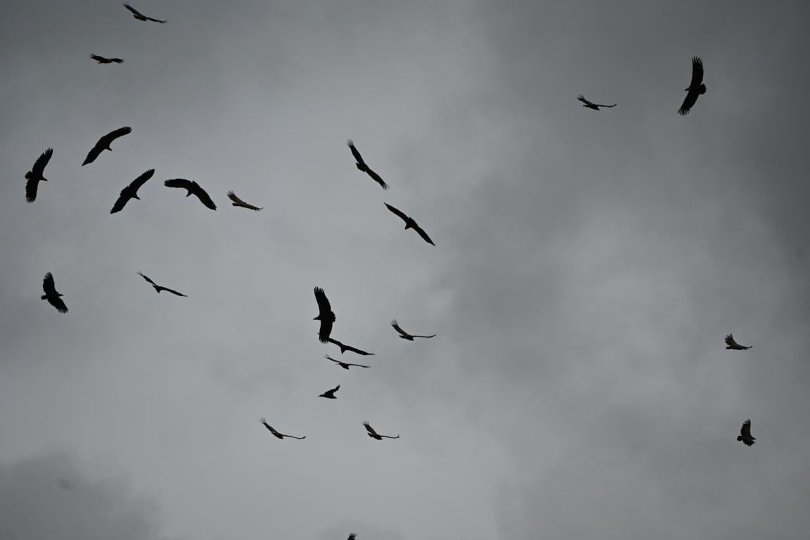 Klicke auf die Grafik für eine vergrößerte Ansicht

Name: DSC_9357.jpg
Ansichten: 0
Größe: 46,1 KB
ID: 3352356