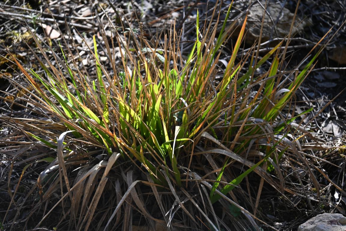 Klicke auf die Grafik für eine vergrößerte Ansicht

Name: DSC_9330.jpg
Ansichten: 0
Größe: 348,4 KB
ID: 3352357