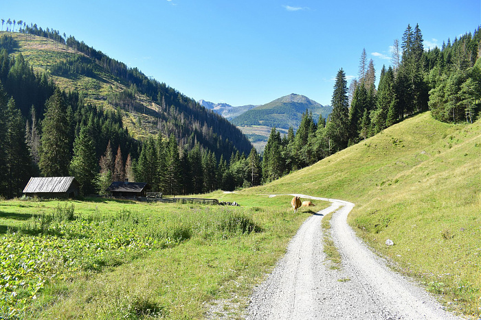 Klicke auf die Grafik für eine vergrößerte Ansicht  Name: DSC_0774.jpg Ansichten: 0 Größe: 1,12 MB ID: 3352450