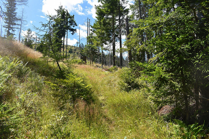 Klicke auf die Grafik für eine vergrößerte Ansicht  Name: DSC_0789.jpg Ansichten: 0 Größe: 1,45 MB ID: 3352453