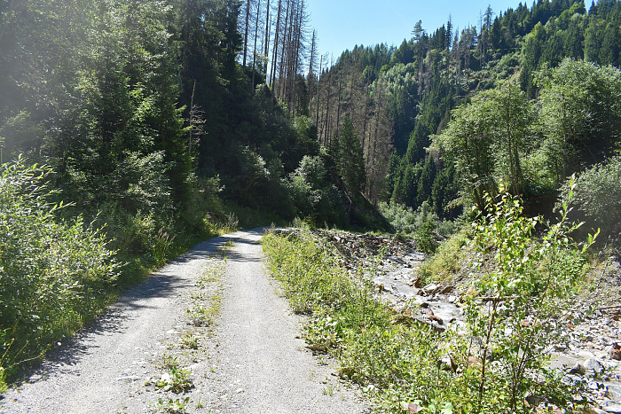 Klicke auf die Grafik für eine vergrößerte Ansicht  Name: DSC_0777.jpg Ansichten: 0 Größe: 1,35 MB ID: 3352454