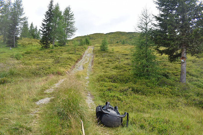 Klicke auf die Grafik für eine vergrößerte Ansicht  Name: DSC_0798.jpg Ansichten: 0 Größe: 1,17 MB ID: 3352455