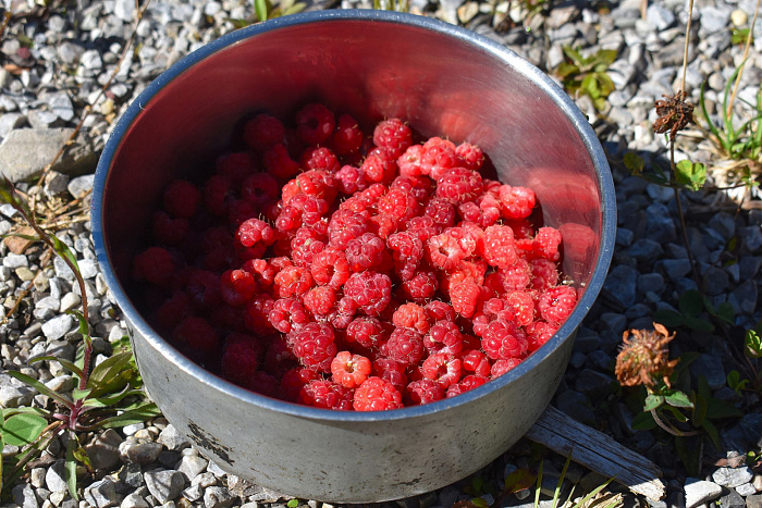 Klicke auf die Grafik für eine vergrößerte Ansicht  Name: DSC_0776.jpg Ansichten: 0 Größe: 802,5 KB ID: 3352456