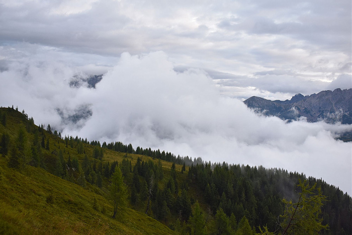 Klicke auf die Grafik für eine vergrößerte Ansicht  Name: DSC_0803.jpg Ansichten: 0 Größe: 436,2 KB ID: 3352457