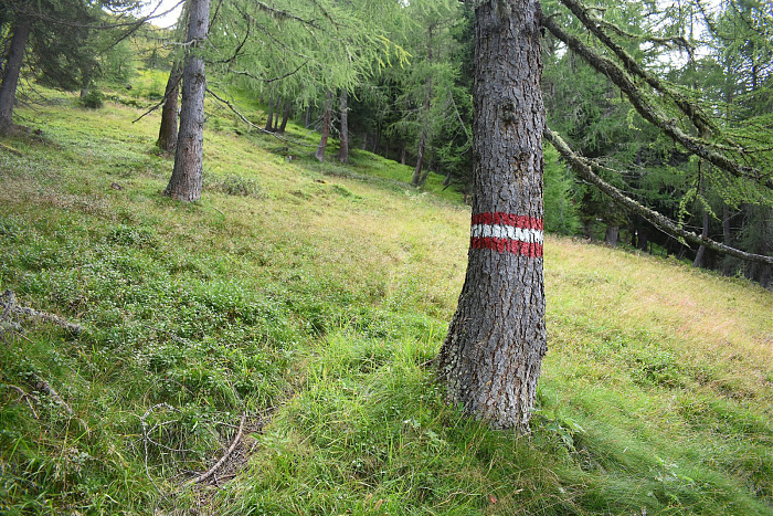 Klicke auf die Grafik für eine vergrößerte Ansicht  Name: DSC_0793.jpg Ansichten: 0 Größe: 1,35 MB ID: 3352458