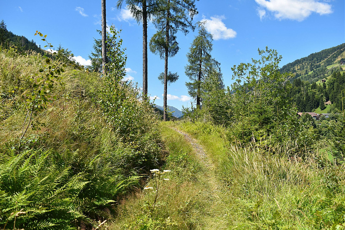 Klicke auf die Grafik für eine vergrößerte Ansicht  Name: DSC_0783.jpg Ansichten: 0 Größe: 1,41 MB ID: 3352462