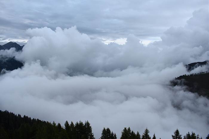 Klicke auf die Grafik für eine vergrößerte Ansicht  Name: DSC_0805.jpg Ansichten: 0 Größe: 308,4 KB ID: 3352464