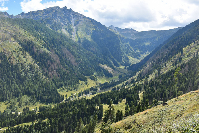 Klicke auf die Grafik für eine vergrößerte Ansicht  Name: DSC_0791.jpg Ansichten: 0 Größe: 1,03 MB ID: 3352465