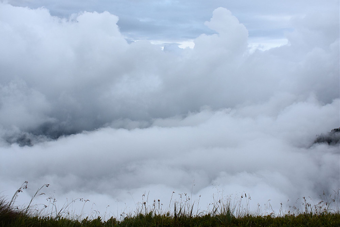 Klicke auf die Grafik für eine vergrößerte Ansicht  Name: DSC_0806.jpg Ansichten: 0 Größe: 335,3 KB ID: 3352468