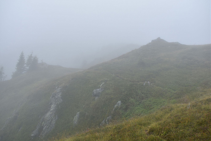 Klicke auf die Grafik für eine vergrößerte Ansicht  Name: DSC_0807.jpg Ansichten: 0 Größe: 411,4 KB ID: 3352470