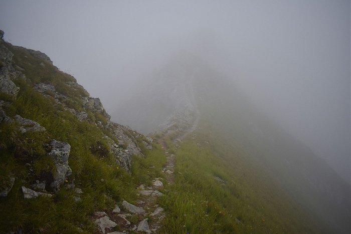 Klicke auf die Grafik für eine vergrößerte Ansicht  Name: DSC_0814.jpg Ansichten: 0 Größe: 431,4 KB ID: 3352472