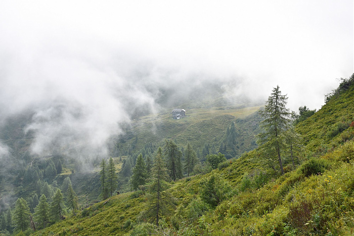 Klicke auf die Grafik für eine vergrößerte Ansicht

Name: DSC_0821.jpg
Ansichten: 289
Größe: 685,6 KB
ID: 3352529