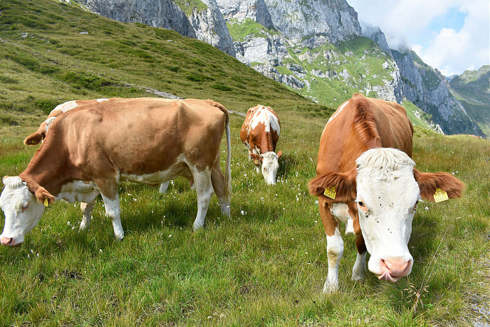 Klicke auf die Grafik für eine vergrößerte Ansicht

Name: DSC_0830.jpg
Ansichten: 289
Größe: 1,14 MB
ID: 3352535