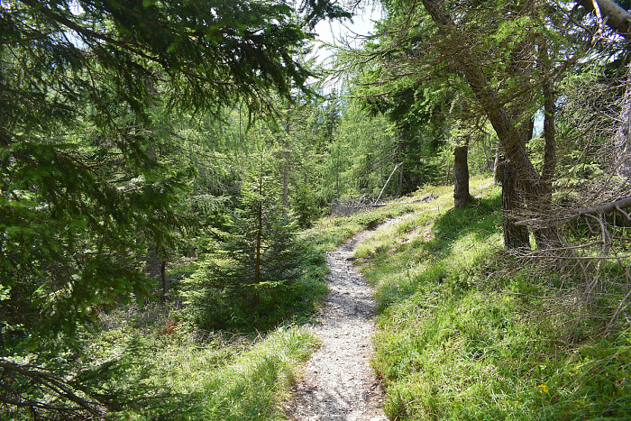 Klicke auf die Grafik für eine vergrößerte Ansicht

Name: DSC_0844.jpg
Ansichten: 293
Größe: 1,44 MB
ID: 3352541