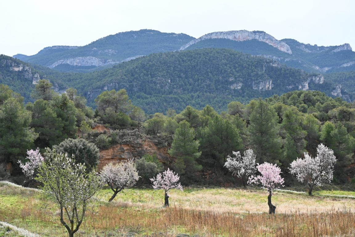 Klicke auf die Grafik für eine vergrößerte Ansicht

Name: DSC_8989.jpg
Ansichten: 64
Größe: 270,0 KB
ID: 3352582